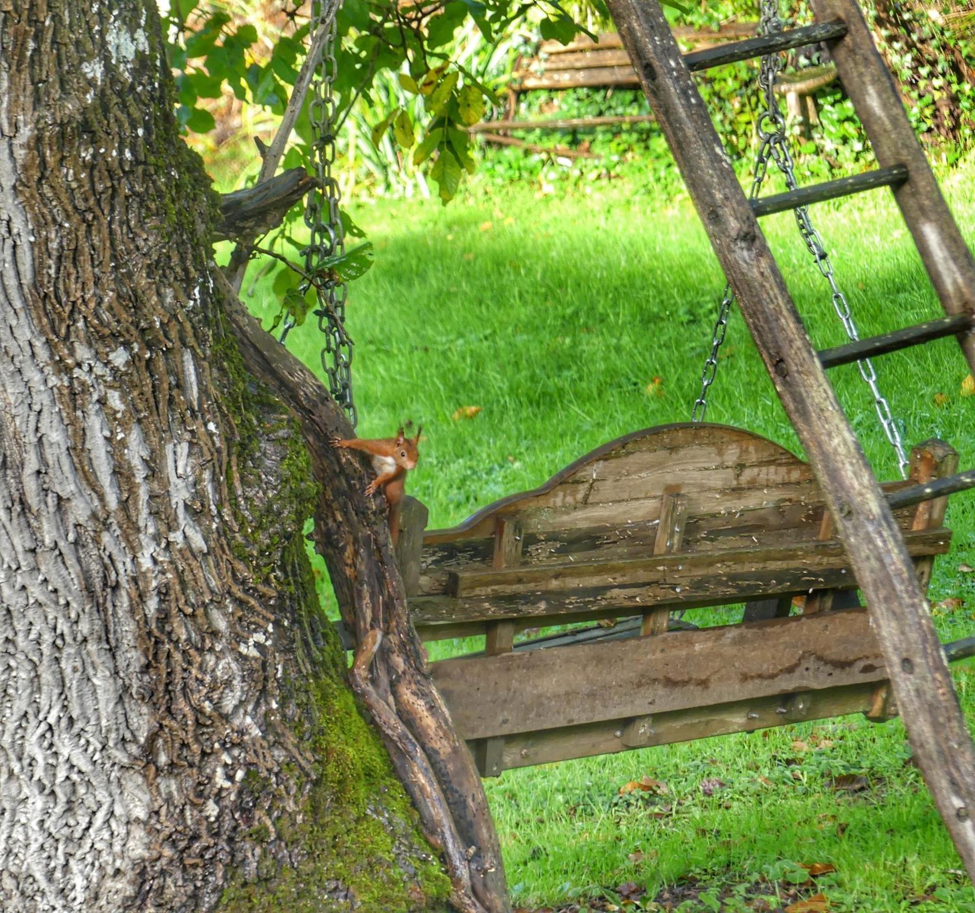 Au Coeur Des Loges Bed & Breakfast Saint-Bonnet-de-Bellac Eksteriør bilde